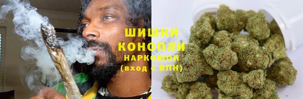 индика Новокубанск