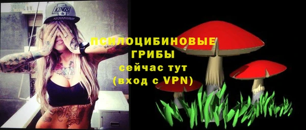прущие грибы Новодвинск