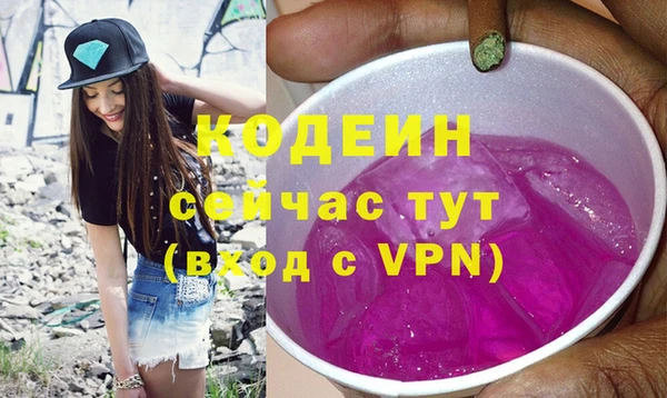 амф Новозыбков