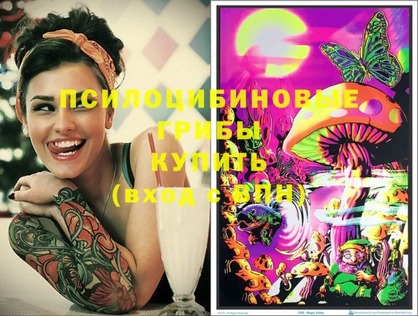 индика Новокубанск