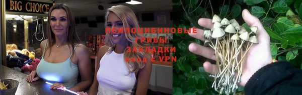 амф Новозыбков