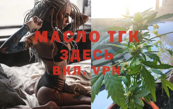 прущие грибы Новодвинск