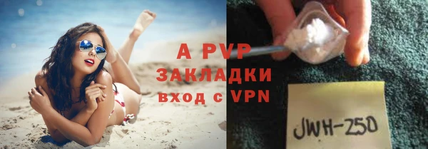 амф Новозыбков