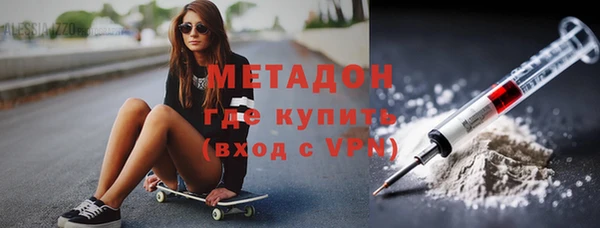 прущие грибы Новодвинск