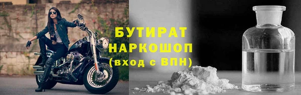прущие грибы Новодвинск