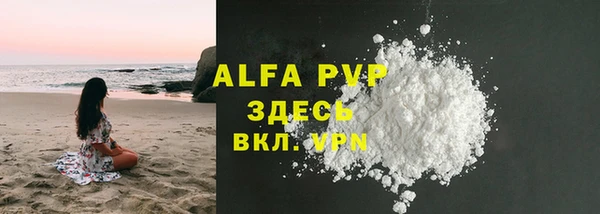 индика Новокубанск