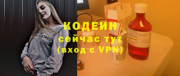 индика Новокубанск