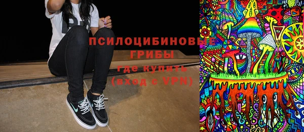 прущие грибы Новодвинск