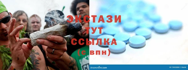амф Новозыбков