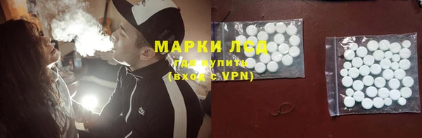 индика Новокубанск