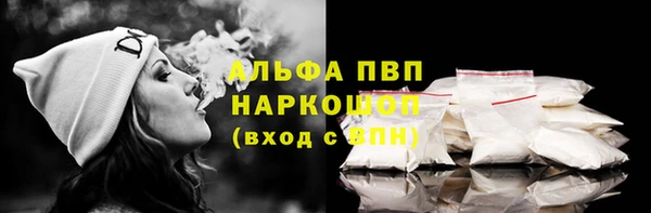 амф Новозыбков