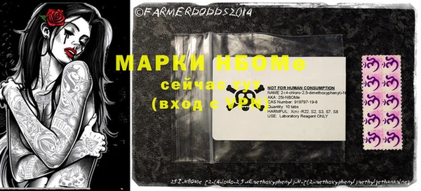 амф Новозыбков