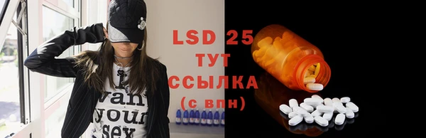 индика Новокубанск