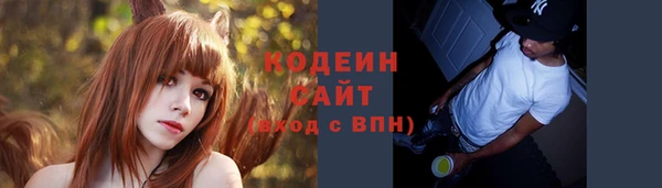 прущие грибы Новодвинск