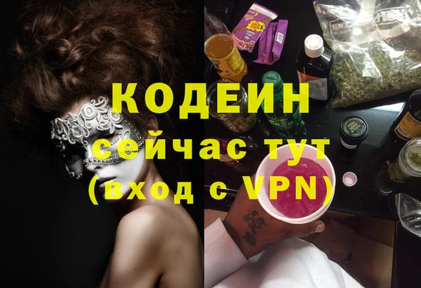 амф Новозыбков