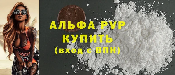 амф Новозыбков
