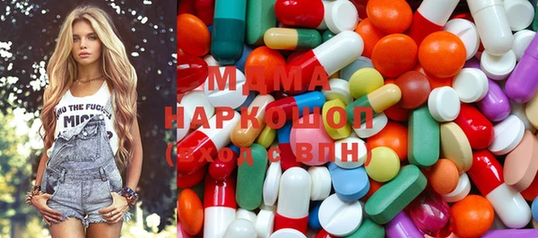 прущие грибы Новодвинск