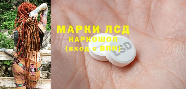 прущие грибы Новодвинск