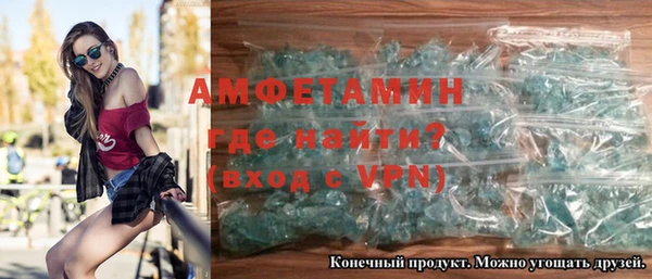 индика Новокубанск