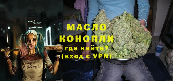 амф Новозыбков