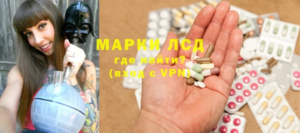 прущие грибы Новодвинск
