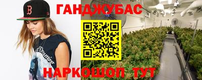 дживик Шелехов