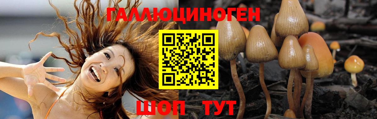 Галлюциногенные грибы Cubensis  Вход с VPN  Прокопьевск 